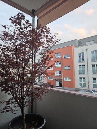 20230804_204828.jpg