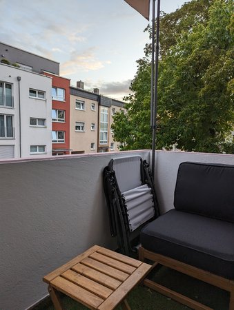 PXL_20230804_185024387.jpg