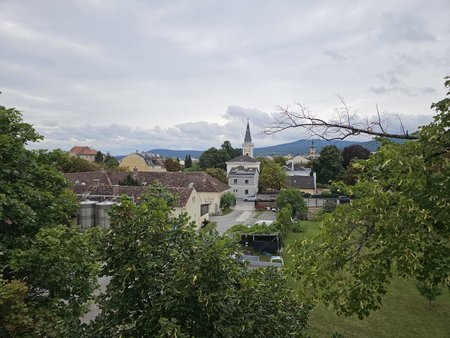 20230806_115035.jpg