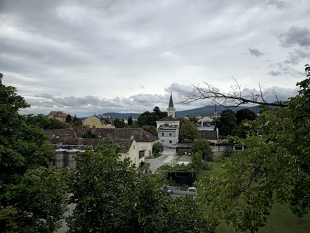 20230806_115018.jpg