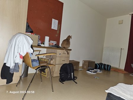20230807_005800.jpg
