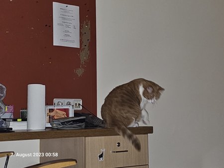20230807_005807.jpg