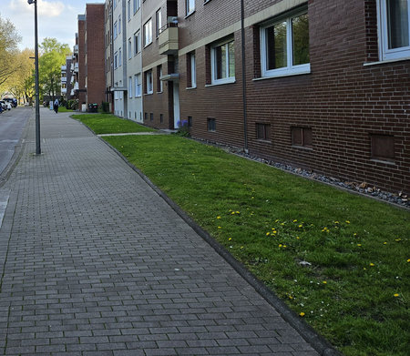 S23_Bild.jpg