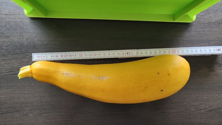 IMG20230803112318.jpg