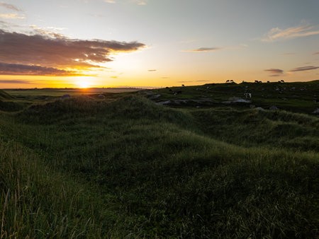 20230731_214614.jpg
