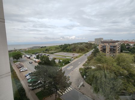 IMG_20230806_183510054.jpg