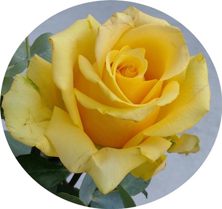 12.8.2023g.jpg