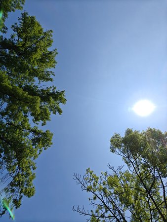 IMG20230603131811.jpg