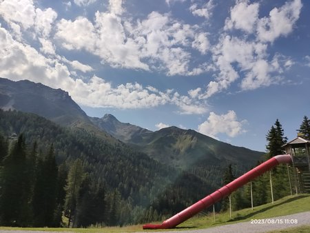 IMG_20230815_110853_1.jpg