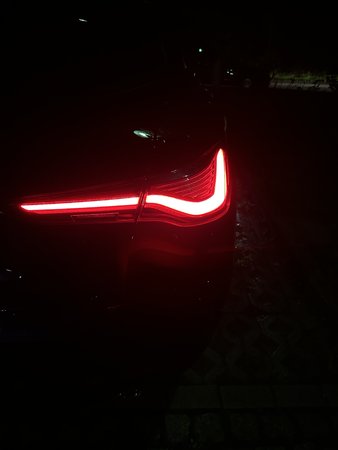 IMG_3771.jpg