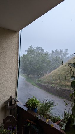 PXL_20230817_185601167.jpg