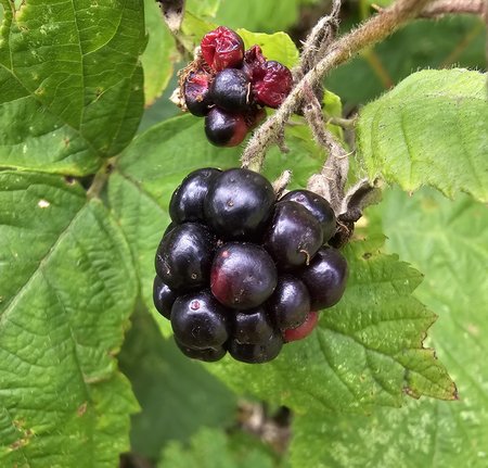 20230819_105548.jpg