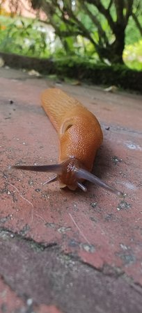 IMG_20230821_100807.jpg