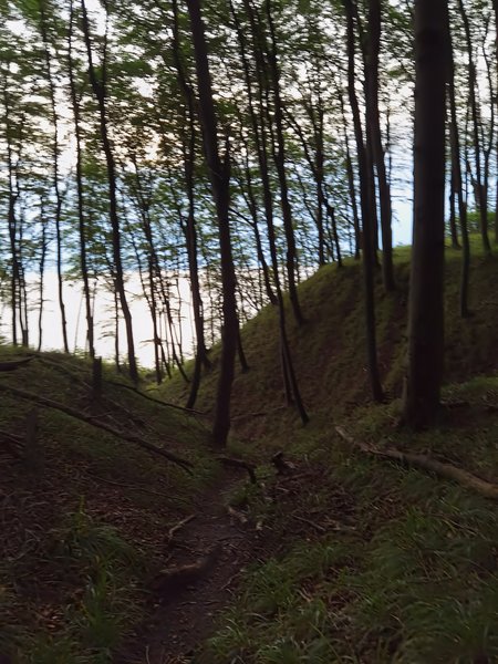 IMG_20230815_065208.jpg