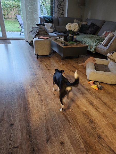 20230822_063800.jpg
