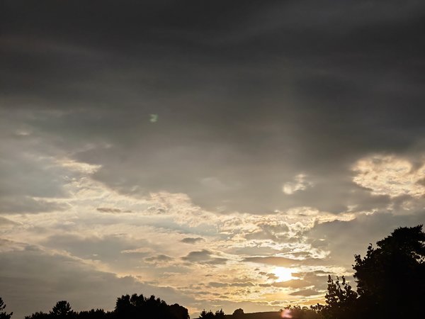 IMG_20230825_191719.jpg