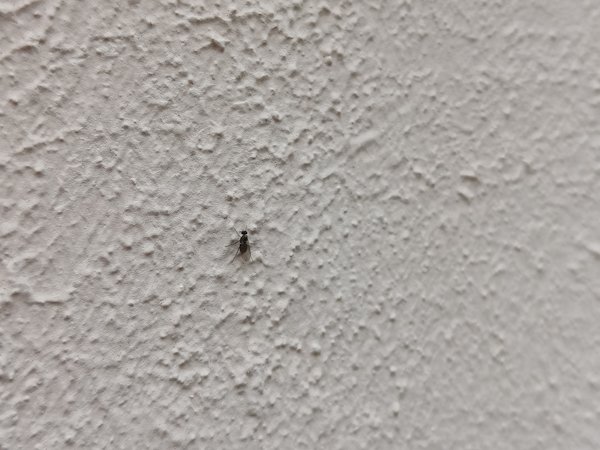 IMG20230826173320.jpg