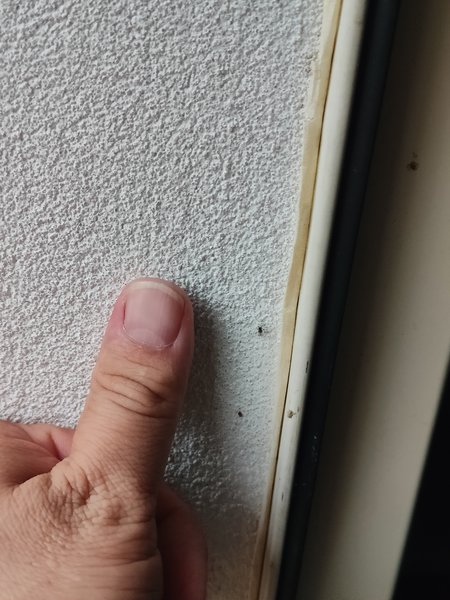 IMG20230826173747.jpg