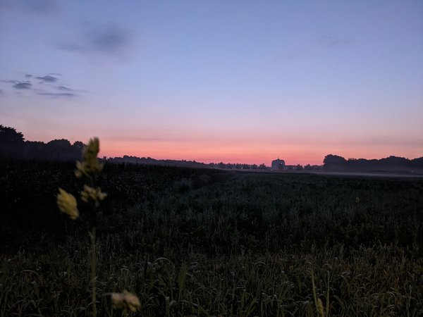 PXL_20230822_033524414.jpg