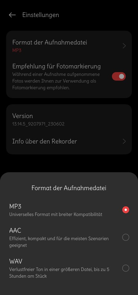 Rekorder 6v6.jpg