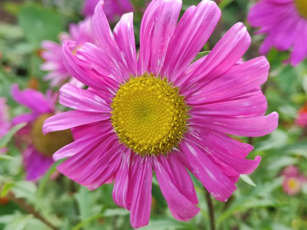 IMG20230831170857.jpg