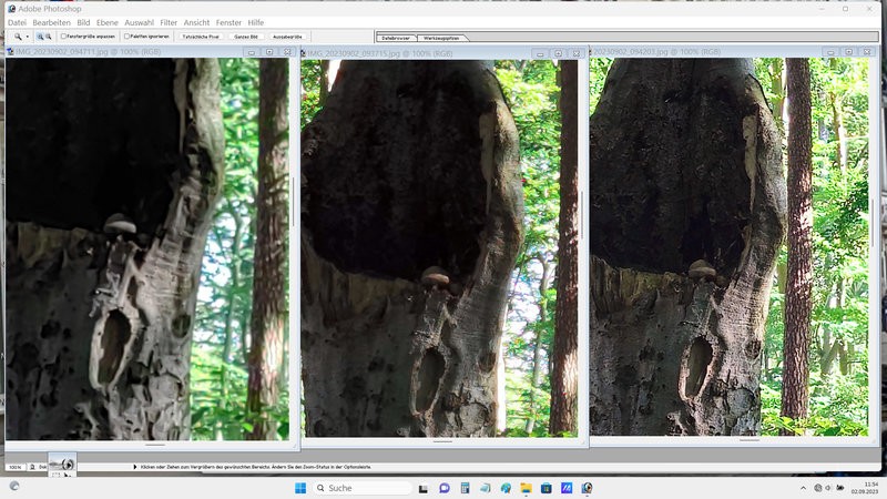 P40pp P50p S23u aktuell 50 MPix bei 100 Prozent.jpg