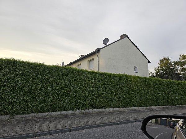 Weich aus geschw u Qualität .jpg