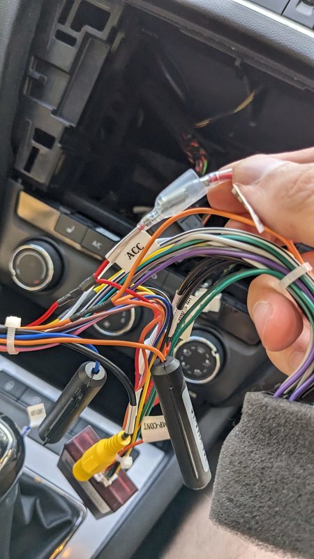Harness Joying 2.jpg
