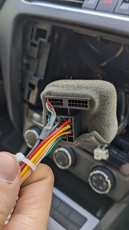 Harness Joying 5.jpg