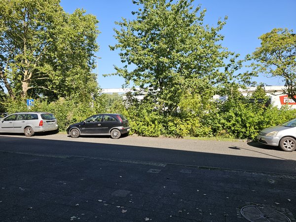 Mit blitz.jpg