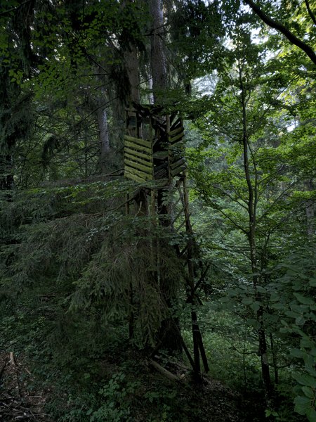 20230909_091323.jpg