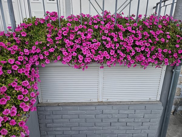 20230909_190112.jpg