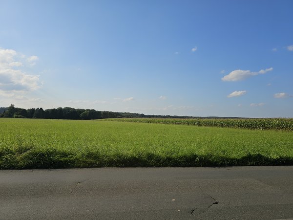 Weich an.1.jpg