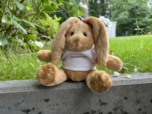 Foto_iPhone13Pro_Hase.jpg