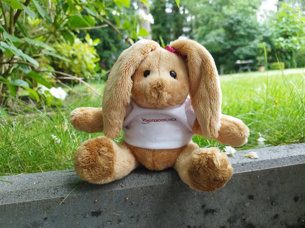 Foto_RedmiNote11Pro_Hase.jpg
