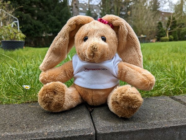 Foto_PocoX5_Hase(2).jpg