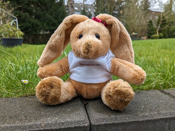 Foto_Pixel6a_Hase.jpg