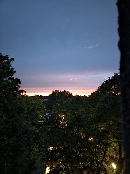 IMG_20230918_195307.jpg