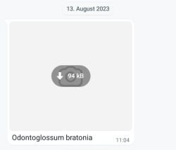 1a.jpg 1a.jpg