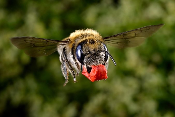 CBTKK9_20231709.jpg