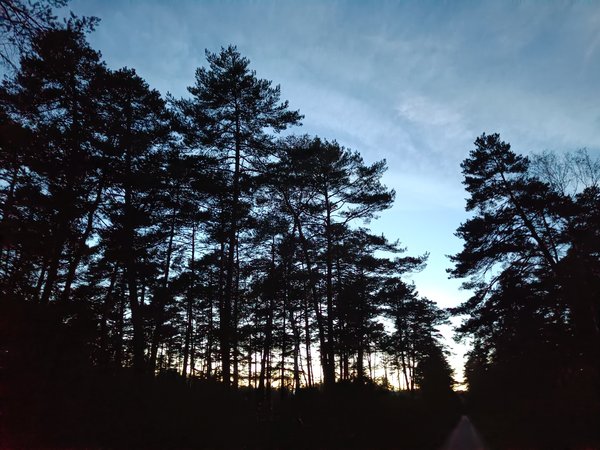 IMG20230921194920.jpg