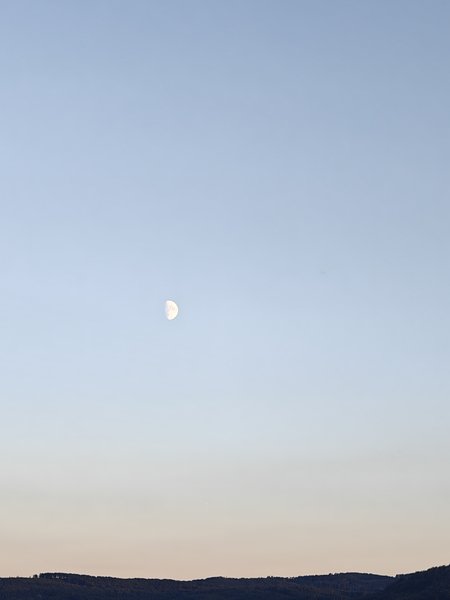 IMG20230924191124.jpg