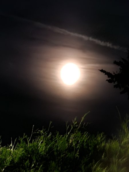 20230925_201026.jpg