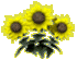 008.GIF 008.GIF