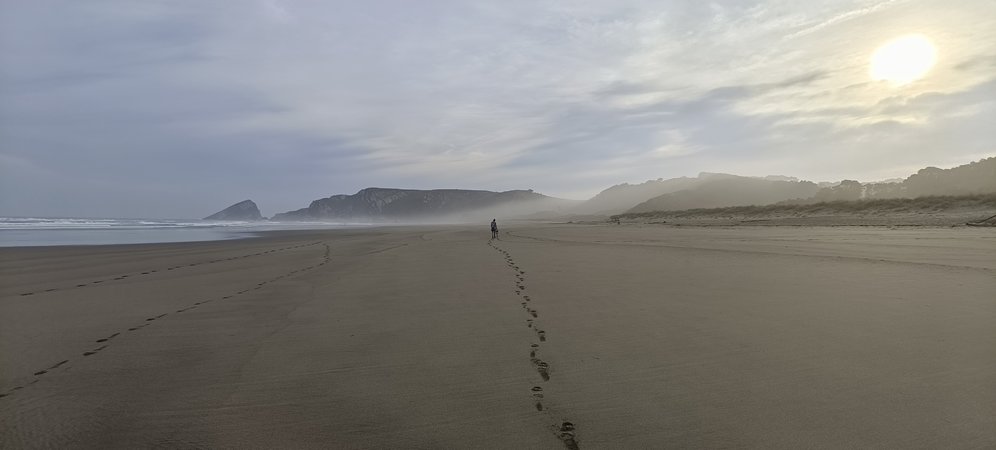 IMG_20230927_095244.jpg