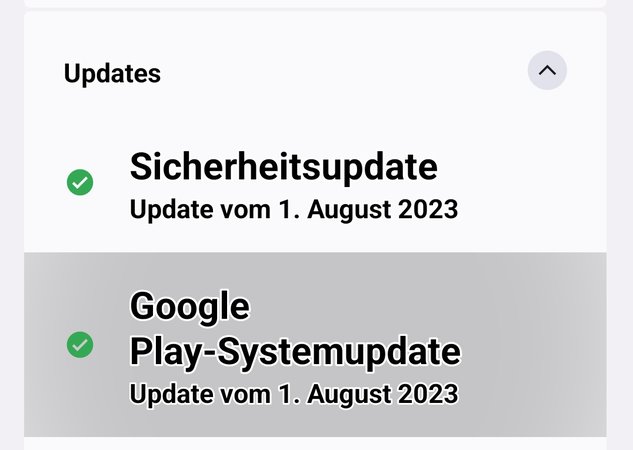 Google Play-Systemupdate.jpeg