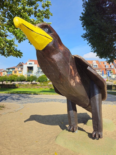 20230925_132558.jpg