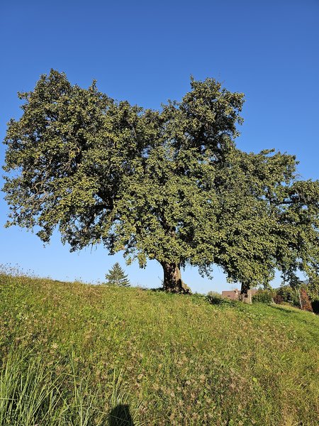 20230929_082427.jpg