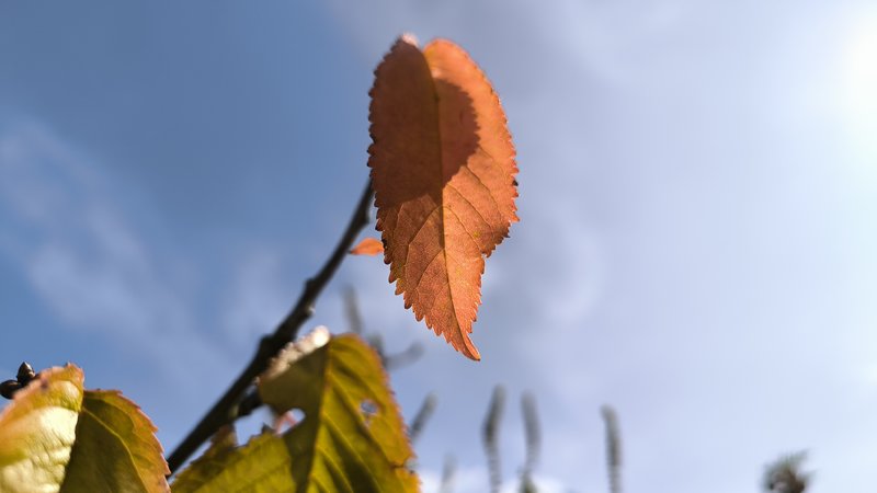 IMG_20231001_120257.jpg