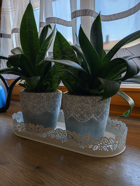 20231001_130119_Gcam.jpg